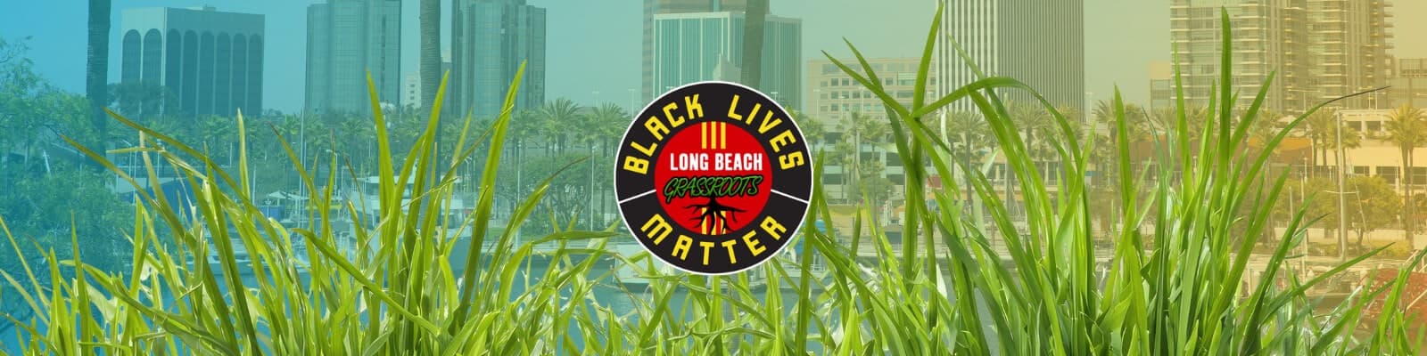BLM Grassroots Long Beach