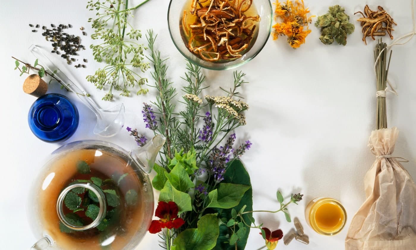 Reclaiming African Herbalism as an Act of Resistance image